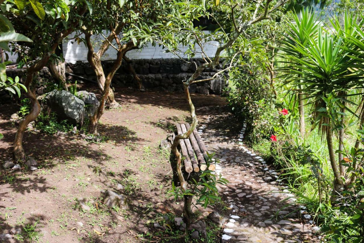Hosteria El Trapiche Lodge & Spa بانيوس المظهر الخارجي الصورة