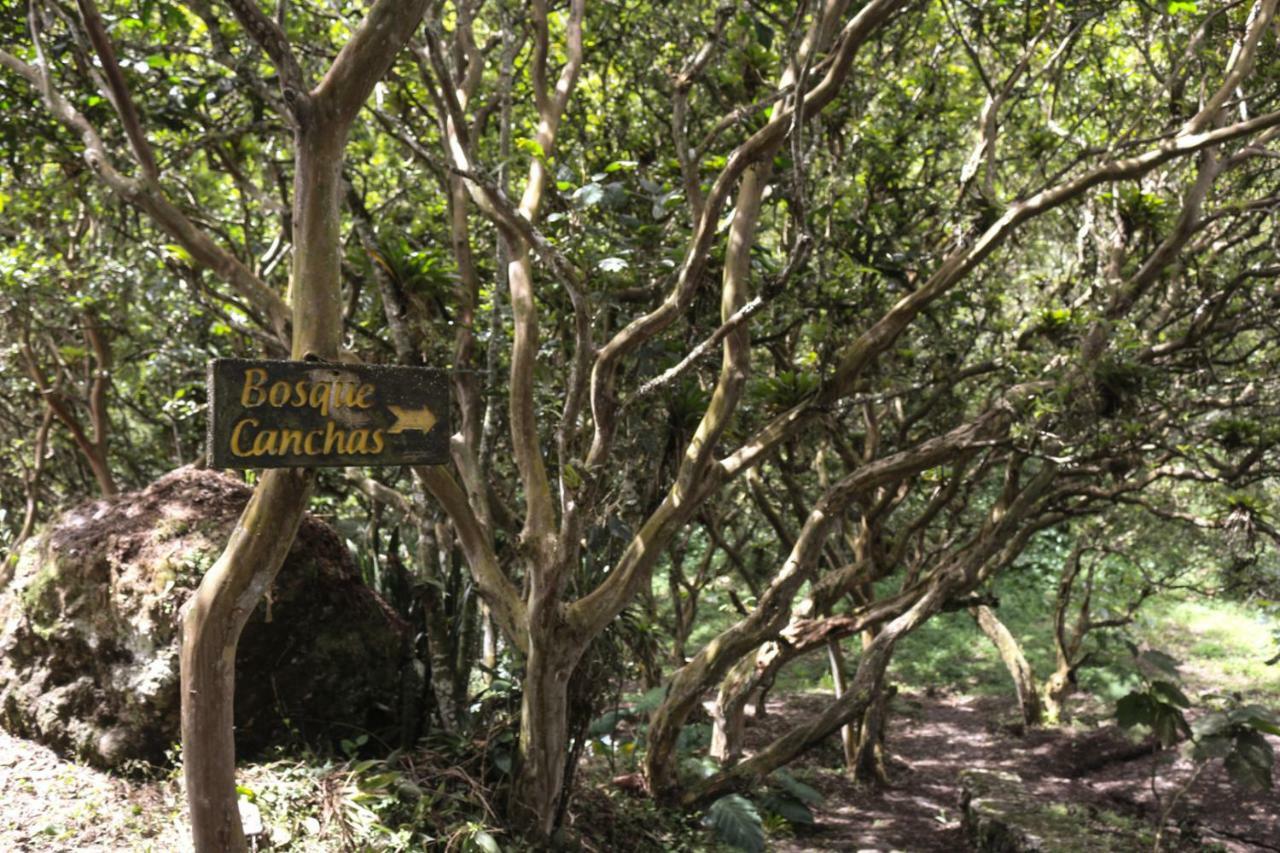 Hosteria El Trapiche Lodge & Spa بانيوس المظهر الخارجي الصورة