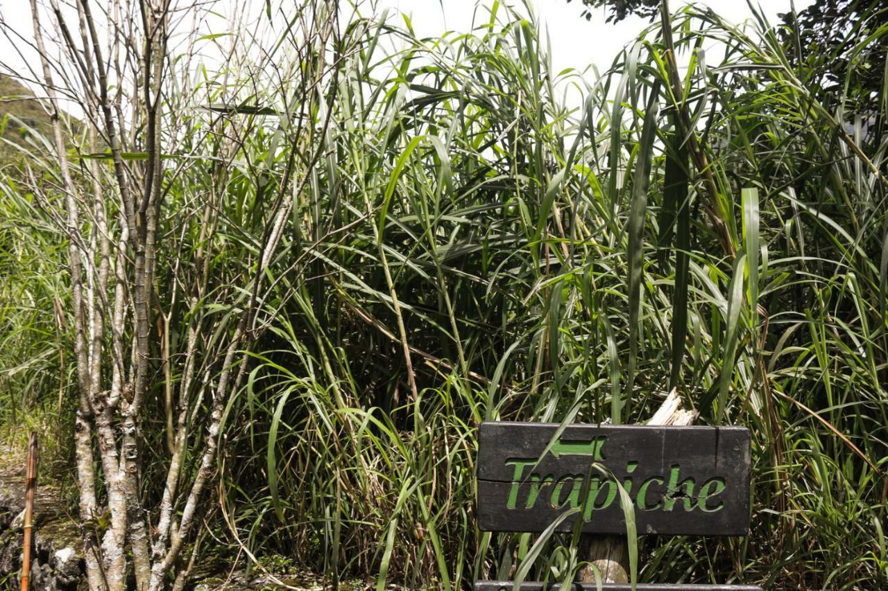 Hosteria El Trapiche Lodge & Spa بانيوس المظهر الخارجي الصورة